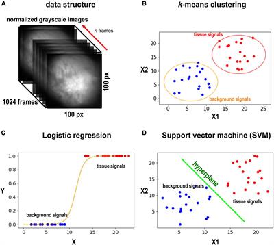 Automated Object Detection in Experimental Data Using Combination of Unsupervised and Supervised Methods